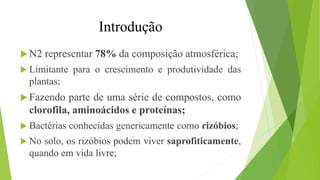 Introdução
 N2 representar 78% da composição atmosférica;
 Limitante para o crescimento e produtividade das
plantas;
 Fazendo parte de uma série de compostos, como
clorofila, aminoácidos e proteínas;
 Bactérias conhecidas genericamente como rizóbios;
 No solo, os rizóbios podem viver saprofiticamente,
quando em vida livre;
 