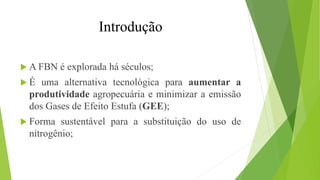  A FBN é explorada há séculos;
 É uma alternativa tecnológica para aumentar a
produtividade agropecuária e minimizar a emissão
dos Gases de Efeito Estufa (GEE);
 Forma sustentável para a substituição do uso de
nitrogênio;
Introdução
 