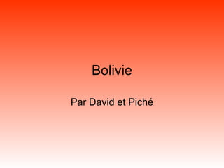 Bolivie Par David et Piché 