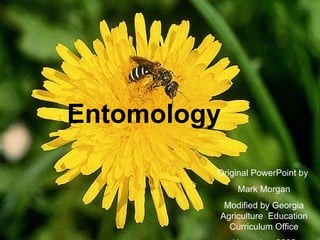 Entomology
         Original PowerPoint by
             Mark Morgan
          Modified by Georgia
         Agriculture Education
           Curriculum Office
 
