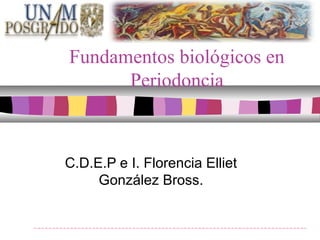 Fundamentos biológicos en
Periodoncia
C.D.E.P e I. Florencia Elliet
González Bross.
 
