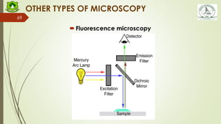 Fsi Microscope Names FBS 101 Cell Structure and Function - L1 Microscopy 26-01-24.pdf