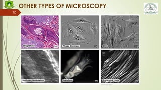 Fsi Microscope Names FBS 101 Cell Structure and Function - L1 Microscopy 26-01-24.pdf