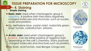 FBS 101 Cell Structure and Function - L1 Microscopy 26-01-24.pdf