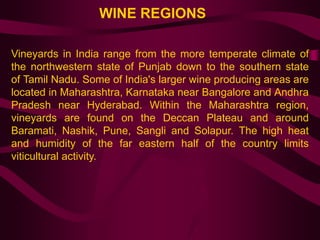 The World of Wine & Spirits