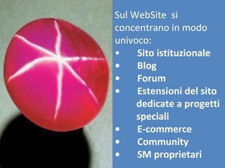 Sul WebSite si
concentrano in modo
univoco:
•    Sito istituzionale
•    Blog
•    Forum
•    Estensioni del sito
     dedicate a progetti
     speciali
•    E-commerce
•    Community
•    SM proprietari
 