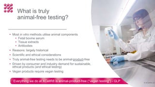• Most in vitro methods utilise animal components
• Fetal bovine serum
• Tissue extracts
• Antibodies
• Reasons: largely historical
• Scientific and ethical considerations
• Truly animal-free testing needs to be animal-product-free
• Driven by consumer and industry demand for sustainable,
ethical products (and ethical testing)
• Vegan products require vegan testing
Everything we do at XCellR8 is animal-product-free (“vegan testing”) - GLP
What is truly
animal-free testing?
© XCellR8 Ltd
 