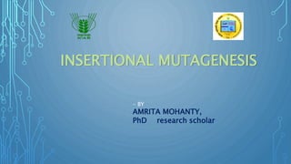 INSERTIONAL MUTAGENESIS
- BY
AMRITA MOHANTY,
PhD research scholar
 