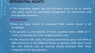 INTEGRATING AGENTS
 The integrating agents that are efficiently used so far to identify
new cancer genes by insertional mutagenesis are retroviruses and
transposable elements.
RETROVIRUSES
these are large family of enveloped RNA viruses found in all
vertebrates
 the genome is a homodimer of linear, positive sense, ssRNA of 7-
11Kb, surrounded by a cone shaped protein core.
In the retroviral life-cycle, the genetic information goes from RNA to
DNA and exists in two different forms; as genomic DNA when inside
the viral particle and as proviral double-stranded DNA when
integrated in the host genome.
 