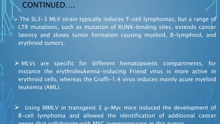 CONTINUED….
 The SL3-3 MLV strain typically induces T-cell lymphomas, but a range of
LTR mutations, such as mutation of RUNX-binding sites, extends cancer
latency and skews tumor formation causing myeloid, B-lymphoid, and
erythroid tumors.
 MLVs are specific for different hematopoietic compartments, for
instance the erythroleukemia-inducing Friend virus is more active in
erythroid cells, whereas the Graffi-1.4 virus induces mainly acute myeloid
leukemia (AML).
 Using MMLV in transgenic E μ-Myc mice induced the development of
B-cell lymphoma and allowed the identification of additional cancer
 