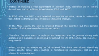 CONTINUED….
• Instead of injecting a viral supernatant in newborn mice, identified CIS in tumors
derived from the recombinant inbred strains, BXH2 and AKXD.
• In BXH2 mice, the MLV is not inherited through the germline, rather is horizontally
transmitted via transplacental infection of implanted embryos.
• In the AKXD strains, the MLV is inherited through the germline, but then somatic
activation of additional recombinant viruses occurs.
• Therefore, the virus starts to replicate and integrates into the genome during early
gestation with mutagenesis continuing throughout the life of the animal causing a life-
long viremia.
• Indeed, studying and comparing the CIS retrieved from these mice allowed identifying
lineage-specific cancer genes involved in hematopoietic malignancies that are also
relevant in human tumors.
 