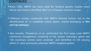 CONTINUED…..
Since 1982, MMTV has been used for forward genetic studies when
Nusse and Varmus identified Wnt1 as a frequent insertion target.
 Different studies conducted with MMTV-induced tumors led to the
identification of 12 candidate cancer genes, mainly belonging to Wnt
and Fgf pathways.
 But recently, Theodorou et al., performed the first large scale MMTV
insertional mutagenesis screening in the mouse mammary gland and
160 mammary tumors were screened and identified 33 CIS (among
which 21 were previously unknown MMTV targeted genes).
 