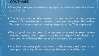 CONTINUED….
When the transposase excises a transposon, it leaves behind a three-
base footprint.
 The transposon can then reinsert at any location in the genome
where a TA dinucleotide is present (there are more than 300 million
TA sites in the genome) and during integration, the TA is duplicated.
The cargo of the transposon (the segment contained between the two
inverted repeats/direct repeats) can be any sequence of choice, but
transposition efficiency decreases with increased cargo sizes .
 But, by introducing point mutations in the transposase gene, it has
been possible to significantly increase the level of mobilization.
 