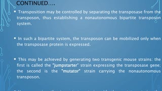 CONTINUED….
 Transposition may be controlled by separating the transposase from the
transposon, thus establishing a nonautonomous bipartite transposon
system.
 In such a bipartite system, the transposon can be mobilized only when
the transposase protein is expressed.
 This may be achieved by generating two transgenic mouse strains: the
first is called the "jumpstarter" strain expressing the transposase gene;
the second is the "mutator" strain carrying the nonautonomous
transposon.
 