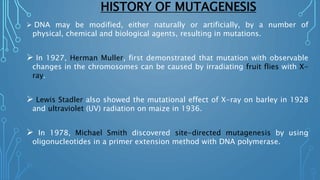 HISTORY OF MUTAGENESIS
 DNA may be modified, either naturally or artificially, by a number of
physical, chemical and biological agents, resulting in mutations.
 In 1927, Herman Muller, first demonstrated that mutation with observable
changes in the chromosomes can be caused by irradiating fruit flies with X-
ray.
 Lewis Stadler also showed the mutational effect of X-ray on barley in 1928
and ultraviolet (UV) radiation on maize in 1936.
 In 1978, Michael Smith discovered site-directed mutagenesis by using
oligonucleotides in a primer extension method with DNA polymerase.
 