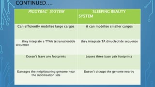 CONTINUED….
PIGGYBAC SYSTEM SLEEPING BEAUTY
SYSTEM
Can efficiently mobilise large cargos it can mobilise smaller cargos
they integrate a TTAA tetranucleotide
sequence
they integrate TA dinucleotide sequence
Doesn’t leave any footprints Leaves three base pair footprints
Damages the neighbouring genome near
the mobilisation site
Doesn’t disrupt the genome nearby
 