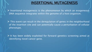 INSERTIONAL MUTAGENESIS
 Insertional mutagenesis is the phenomenon by which an exogeneous
DNA sequence integrates within the genome of a host organism.
 This event can result in the deregulation of genes in the neighborhood
of the insertion site and can potentially cause a perturbation of cellular
phenotype.
 It has been widely exploited for forward genetics screening aimed at
identifying novel cancer gene.
 