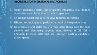 REQUISITES FOR INSERTIONAL MUTAGENESIS
I. Proper oncogenic agent that efficiently integrates in a random
or semi-random fashion into the host genome
II. An animal model that is permissive to tumor formation
III. Efficient technologies to perform retrieval of integration sites
IV.Bioinformatic and static tools to map integrations onto the host
genome and identifying targeted sites, defined as CIS (CIS –
Common insertion site) that are locations hosting candidate
cancer genes.
 