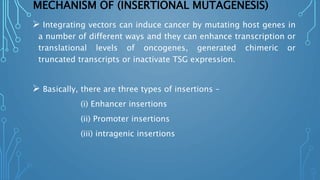 MECHANISM OF (INSERTIONAL MUTAGENESIS)
 Integrating vectors can induce cancer by mutating host genes in
a number of different ways and they can enhance transcription or
translational levels of oncogenes, generated chimeric or
truncated transcripts or inactivate TSG expression.
 Basically, there are three types of insertions –
(i) Enhancer insertions
(ii) Promoter insertions
(iii) intragenic insertions
 