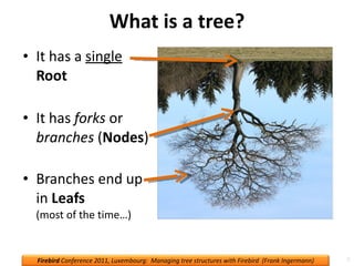 Nested Tree Example Handling tree structures — recursive SPs, nested sets, recursive CTEs | PPT
