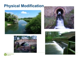 Physical Modification
 