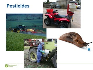 Pesticides
 