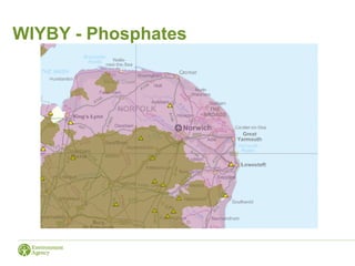 WIYBY - Phosphates
 