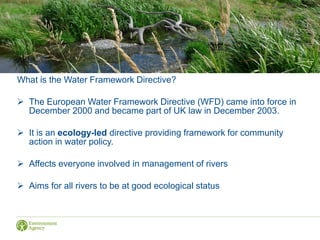 What is the Water Framework Directive?
 The European Water Framework Directive (WFD) came into force in
December 2000 and became part of UK law in December 2003.
 It is an ecology-led directive providing framework for community
action in water policy.
 Affects everyone involved in management of rivers
 Aims for all rivers to be at good ecological status
 