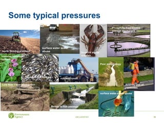 Some typical pressures
UNCLASSIFIED 10
some farming practices
surface water sewer
abuse Invasive signal
crayfish
Phosphate from treated
sewage discharges
invasive Himalayan
balsam
Invasive fish species
nutrient runoff
surface water sewer abuse
Poor morphology
Amenity Use of
pesticides
Low flow / over abstraction
Barrier to fish passage
 