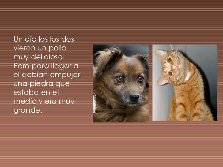 Fábula Del Perro Y El Gato