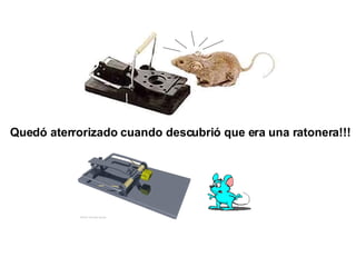 Quedó aterrorizado cuando descubrió que era una ratonera!!! 
