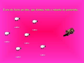 E era de facto um lobo, que dizimou todo o rebanho do pastorinho. 
