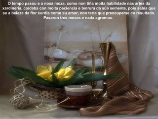 O tempo pasou e a nosa moza, como non tiña moita habilidade nas artes da
xardinería, coidaba con moita paciencia e tenrura da súa semente, pois sabía que
se a beleza da flor xurdía como su amor, non tería que preocuparse co resultado.
Pasaron tres meses e nada agromou.
 