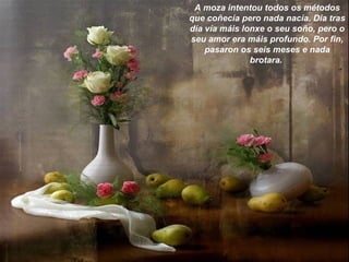 A moza intentou todos os métodos
que coñecía pero nada nacía. Día tras
día vía máis lonxe o seu soño, pero o
seu amor era máis profundo. Por fin,
pasaron os seis meses e nada
brotara.
 