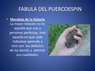 Moraleja de la historiaLa mejor relación no es aquella que une a personas perfectas, sino aquella en que cada individuo aprende a vivir con  los defectos de los demás y  admirar sus cualidades.FABULA DEL PUERCOESPIN