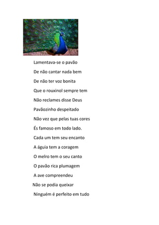 Lamentava-se o pavão
De não cantar nada bem
De não ter voz bonita
Que o rouxinol sempre tem
Não reclames disse Deus
Pavãozinho despeitado
Não vez que pelas tuas cores
És famoso em todo lado.
Cada um tem seu encanto
A águia tem a coragem
O melro tem o seu canto
O pavão rica plumagem
A ave compreendeu
Não se podia queixar
Ninguém é perfeito em tudo
 