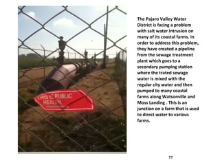 The Pajaro Valley Water District is facing a problem with salt water intrusion on many of its coastal farms. In order to address this problem, they have created a pipeline from the sewage treatment plant which goes to a secondary pumping station where the trated sewage water is mixed with the regular city water and then pumped to many coastal farms along Watsonville and Moss Landing . This is an junction on a farm that is used to direct water to various farms. TT 