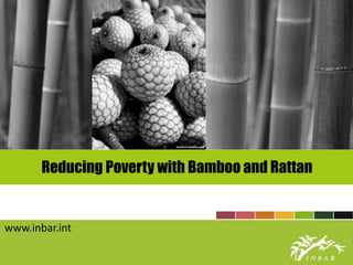 Reducing Poverty with Bamboo and Rattan
www.inbar.int
 
