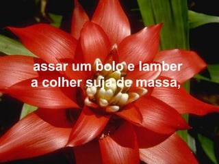 assar um bolo e lamber
a colher suja de massa,
 