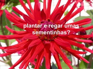 plantar e regar umas
sementinhas?
 