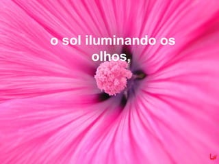 o sol iluminando os
olhos,
 