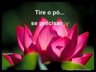Tire o pó...
se precisar....
 