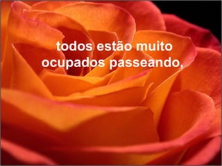 todos estão muito
ocupados passeando,
 