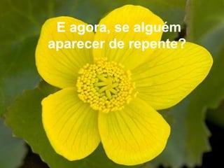 E agora, se alguém
aparecer de repente?
 