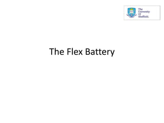 The Flex Battery
 