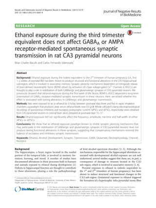 RESEARCH Open Access
Ethanol exposure during the third trimester
equivalent does not affect GABAA or AMPA
receptor-mediated spontaneous synaptic
transmission in rat CA3 pyramidal neurons
Brian Charles Baculis and Carlos Fernando Valenzuela*
Abstract
Background: Ethanol exposure during the rodent equivalent to the 3rd
trimester of human pregnancy (i.e., first
1–2 weeks of neonatal life) has been shown to produce structural and functional alterations in the CA3 hippocampal
sub-region, which is involved in associative memory. Synaptic plasticity mechanisms dependent on retrograde release
of brain-derived neurotrophic factor (BDNF) driven by activation of L-type voltage-gated Ca2+
channels (L-VGCCs) are
thought to play a role in stabilization of both GABAergic and glutamatergic synapses in CA3 pyramidal neurons. We
previously showed that ethanol exposure during the first week of life blocks BDNF/L-VGCC-dependent long-term
potentiation of GABAA receptor-mediated synaptic transmission in these neurons. Here, we tested whether this
effect is associated with lasting alterations in GABAergic and glutamatergic transmission.
Methods: Rats were exposed to air or ethanol for 3 h/day between postnatal days three and five in vapor inhalation
chambers, a paradigm that produces peak serum ethanol levels near 0.3 g/dl. Whole-cell patch-clamp electrophysiological
recordings of spontaneous inhibitory and excitatory postsynaptic currents (sIPSCs and sEPSCs, respectively) were obtained
from CA3 pyramidal neurons in coronal brain slices prepared at postnatal days 13–17.
Results: Ethanol exposure did not significantly affect the frequency, amplitude, rise-time and half-width of either
sIPSCs or sEPSCs.
Conclusions: We show that an ethanol exposure paradigm known to inhibit synaptic plasticity mechanisms that
may participate in the stabilization of GABAergic and glutamatergic synapses in CA3 pyramidal neurons does not
produce lasting functional alterations in these synapses, suggesting that compensatory mechanisms restored the
balance of excitatory and inhibitory synaptic transmission.
Keywords: Ethanol, Alcohol, Development, Synaptic, Transmission, GABA, Glutamate, Electrophysiology, Channel,
Receptor
Background
The hippocampus, a brain region located in the medial
portion of the temporal lobe, is involved in memory for-
mation, learning, and mood. A number of studies have
documented alterations in these processes both in humans
and animals exposed to ethanol during development [1].
Deficits in hippocampal function are thought to contribute
to these alterations, playing a role the pathophysiology
of fetal alcohol spectrum disorders [2, 3]. Although the
mechanisms responsible for the hippocampal alterations as-
sociated with developmental alcohol exposure are not well
understood, several studies suggest that these are, in part, a
consequence of damage to neurons located in the CA3
sub-region, which is involved in associative memory [1, 4].
Prenatal exposure to ethanol in rodents (equivalent to
the 1st
and 2nd
trimesters of human pregnancy), has been
shown to induce structural and functional changes in the
CA3 sub-region. Gestational exposure to ethanol triggered
the formation of a hypertrophic infra-pyramidal mossy fiber
* Correspondence: fvalenzuela@salud.unm.edu
Department of Neurosciences, School of Medicine, University of New Mexico
Health Sciences Center, Albuquerque, NM 87131, USA
© 2015 Baculis and Valenzuela. Open Access This article is distributed under the terms of the Creative Commons Attribution
4.0 International License (http://creativecommons.org/licenses/by/4.0/), which permits unrestricted use, distribution, and
reproduction in any medium, provided you give appropriate credit to the original author(s) and the source, provide a link to
the Creative Commons license, and indicate if changes were made. The Creative Commons Public Domain Dedication waiver
(http://creativecommons.org/publicdomain/zero/1.0/) applies to the data made available in this article, unless otherwise stated.
Baculis and Valenzuela Journal of Negative Results in BioMedicine (2015) 14:19
DOI 10.1186/s12952-015-0041-9
 
