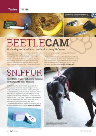 Feature
raspberrypi.org/magpi78 July 2016
TOP TEN
Elephant beetles may not be the most strokeable pets,
but Will McGugan is a freelance software developer
in Edinburgh who loves them all the same. “These
insects are mostly nocturnal,” he tells us. “During
the day, they tend to burrow under their bedding
material or hang out on a branch. But during the
night, they can be quite active. I know this because
Monitoring nocturnal insects with a Raspberry Pi Camera
BEETLECAM
in the morning they have rearranged the branches
in their tank.”
Will wanted to make use of the Pi’s Camera Module
to create a webcam. “I also wanted to be able to create
time-lapse movies, because I didn’t want to watch 12
hours of video to see what they get up to at night.”
The result was Beetlecam (magpi.cc/22MLURG).
We looked at Matt Reed’s Sniffur project back in
issue 42, and it’s still an impressive piece of kit.
Sniffur uses a Bluetooth beacon and Raspberry Pis
to triangulate the position of Bean, the dog at Matt’s
office. But all dogs like to get out and play. “When
[greyhounds] do, they’re very hard to catch because
they’re so fast,” says Matt. “The need to know where
she is at any moment and see if she’s close to the
front doors is the reason Sniffur was built.”
Three Raspberry Pis are used to monitor the beacon
device attached to Bean’s collar (magpi.cc/28L5NIe).
Keep track of your pet, using beacons
to triangulate their position
SNIFFUR
Left A beacon is attached to Bean’s collar,
and three Raspberry Pi devices are used
to triangulate the dog’s position
The Beetlecam is mounted on the roof of
the elephant beetles’ tank using Velcro tabs
 
