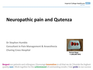 Neuropathic pain and Qutenza
Dr Stephen Humble
Consultant in Pain Management & Anaesthesia
Charing Cross Hospital
Dorset Naga
~1,000,000 SHU
 