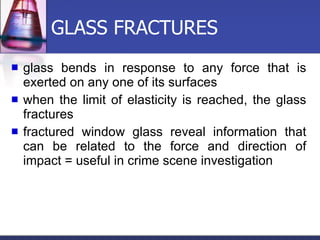 GLASS FRACTURES glass bends in response to any force that is exerted on any one of its surfaces when the limit of elasticity is reached, the glass fractures fractured window glass reveal information that can be related to the force and direction of impact = useful in crime scene investigation 