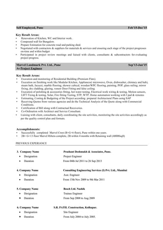 CV Project Manager | PDF